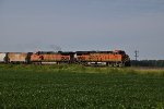 BNSF 8053